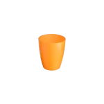 C1