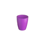 C1