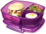 sistema-purple-3-450×281