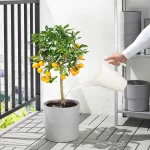 4662638875_w640_h640_ikea-ikea-ps