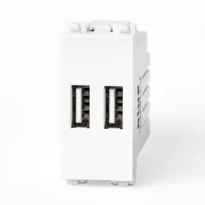 USB Charger double 2.1A White
