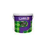 Pachin Quick Sealer 6000